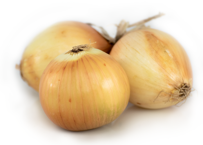 oignons_ferme