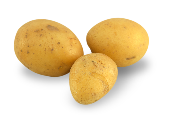 pomme-de-terre-Grenailles-la-ferme-des-noues