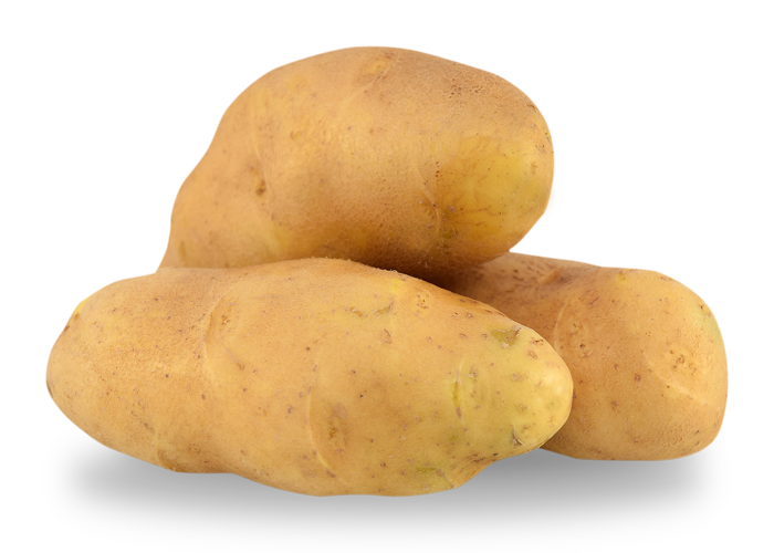 sac-pomme-de-terre-agria-la-ferme-des-noues