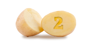 exploitation-pomme-de-terre-02